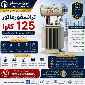 ترانسفورماتور 125 KVA سه فاز ایران ترانسفو - قدرت بی‌نظیر برای صنایع پیشرفته